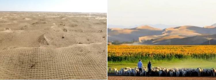京津风沙源治理成效显著，市场化治沙提升沙区发展质量