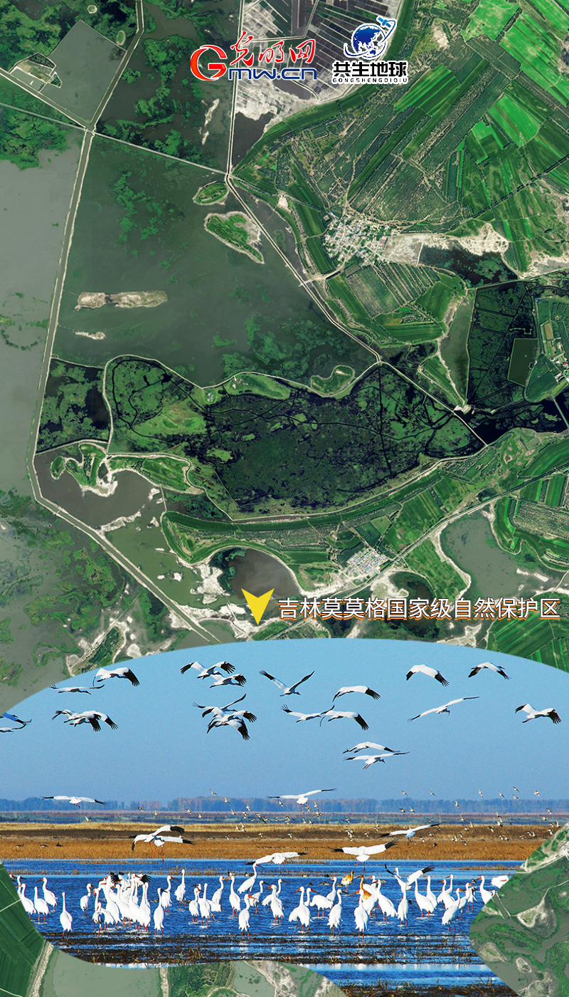 卫星海报丨太空视角“瞰”中国湿地保护成效