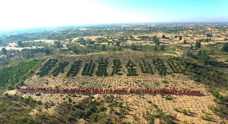 沙特引进亿利库布其治沙技术 助力“百亿棵树计划”