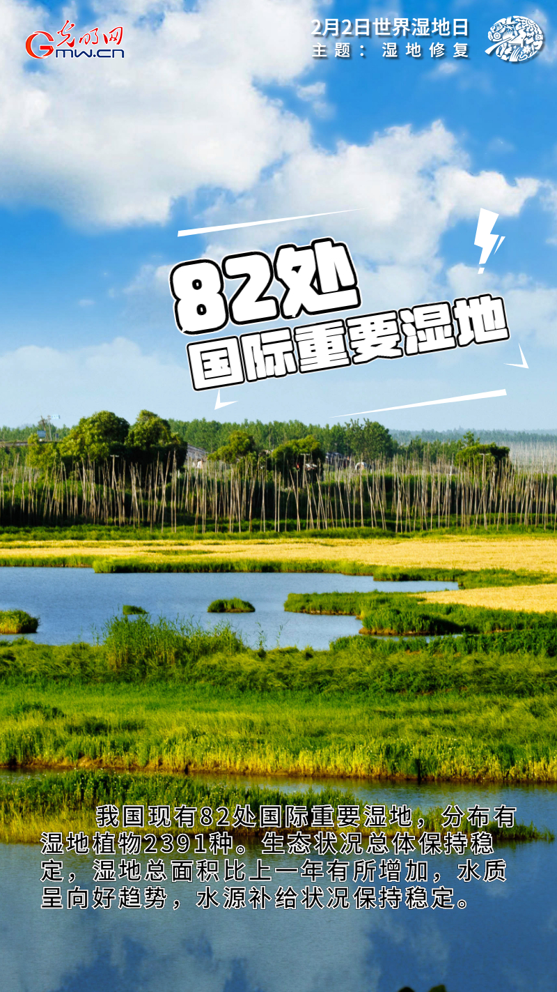 【海报】世界湿地日:“数”览大美湿地