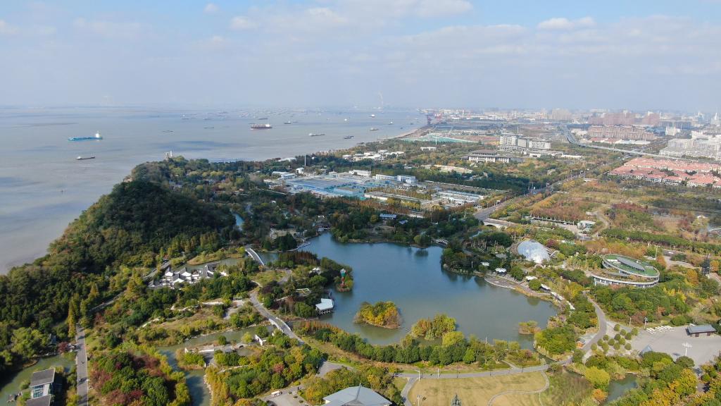黄河保护法正式施行 中国“江河战略”法治化全面推进