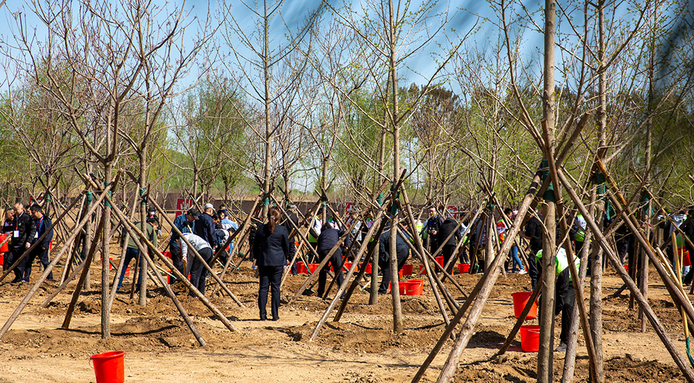 2023年共和国部长义务植树活动在京举行