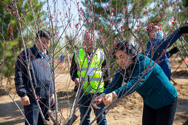 2023年共和国部长义务植树活动在京举行