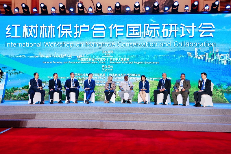 32国代表齐聚深圳 共话红树林保护未来