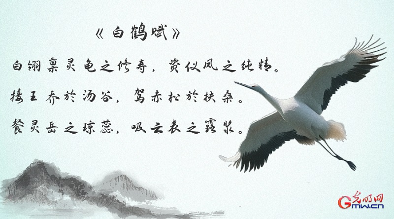 数据新闻｜漫漫归途：守护候鸟迁徙之路的中国力量