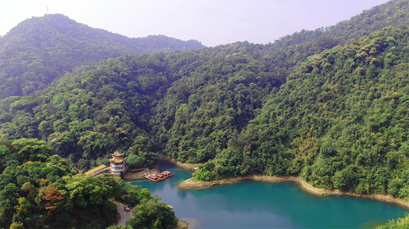 绿水青山“瞰”中国｜探访鼎湖山，看生物多样性保护的“中国样本”