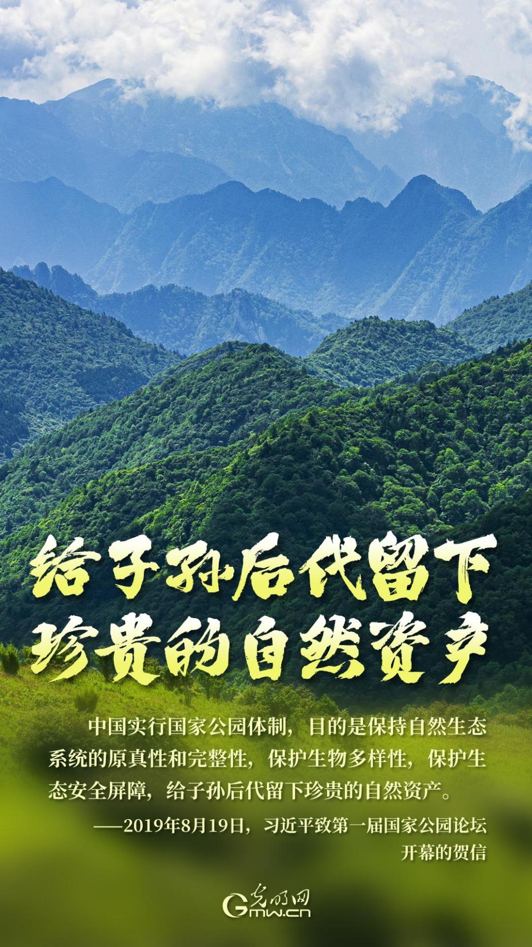 海报丨人与自然和谐共生，守护生物多样性之美