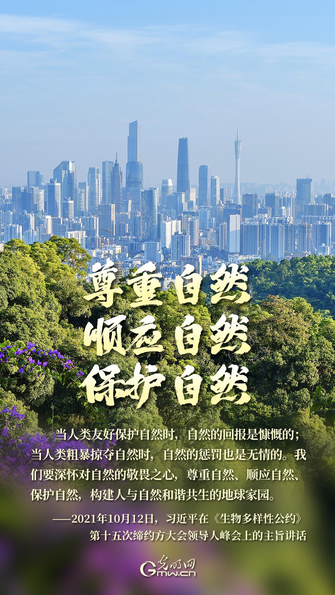 海报丨人与自然和谐共生，守护生物多样性之美