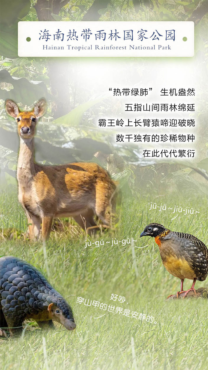 国际生物多样性日 | 动起来！跟着徐霞客来一场奇妙的“Park Walk”