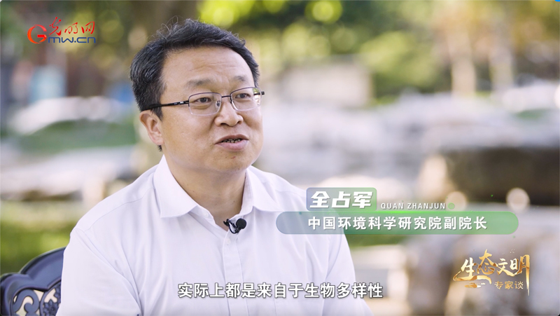 生态文明专家谈 ｜从 “观鸟热” 看生物多样性保护的中国答卷