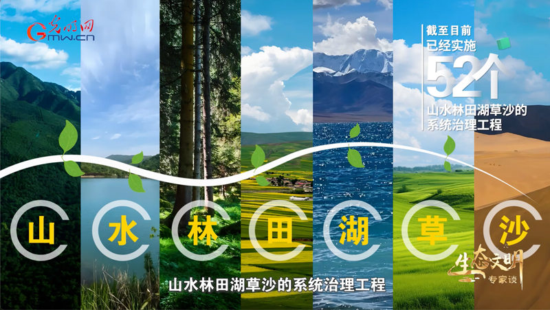生态文明专家谈 ｜从 “观鸟热” 看生物多样性保护的中国答卷