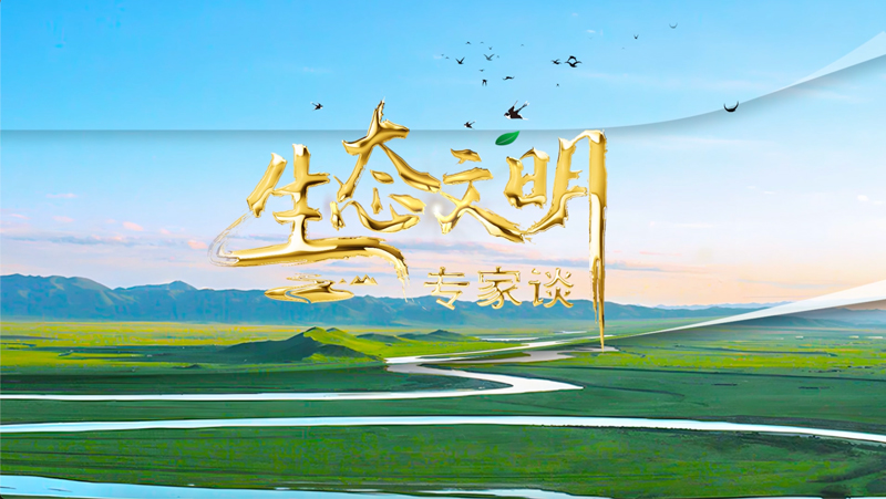 生态文明专家谈 ｜从 “观鸟热” 看生物多样性保护的中国答卷