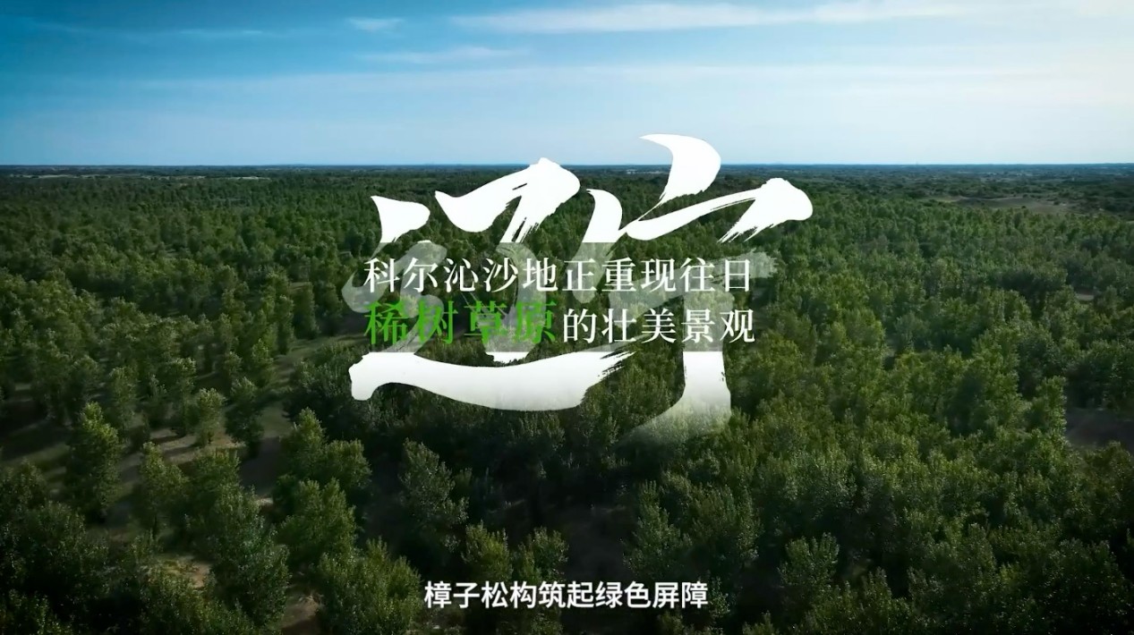 “三北”工程：绿意生金