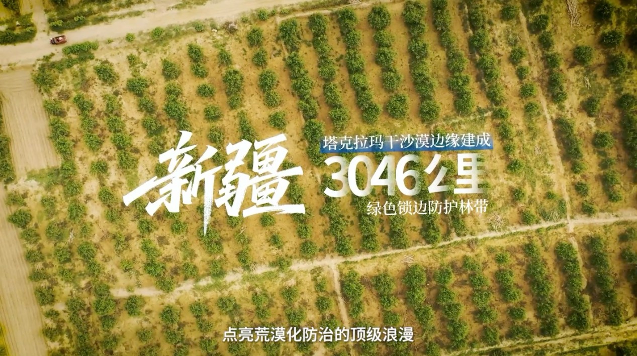 “三北”工程：绿意生金