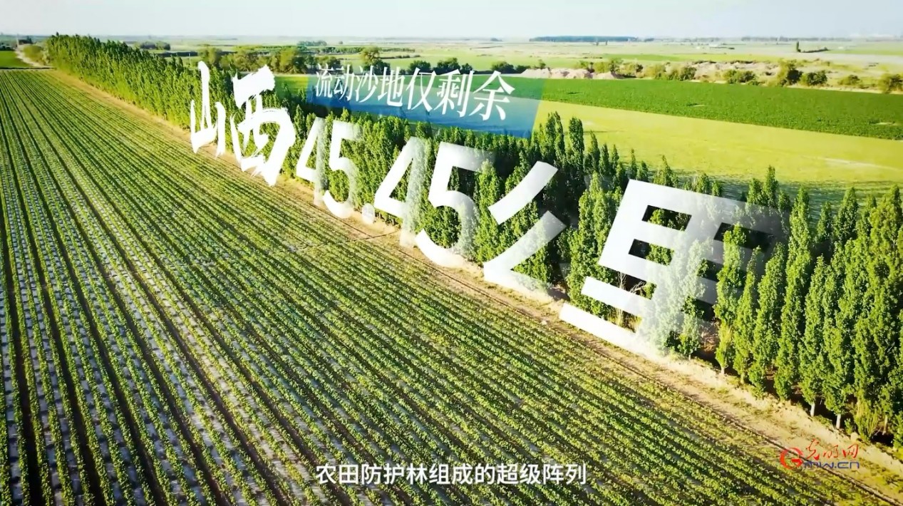 “三北”工程：绿意生金