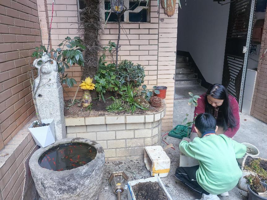 美丽中国，我是行动者丨双胞胎家庭守护城市生物多样性