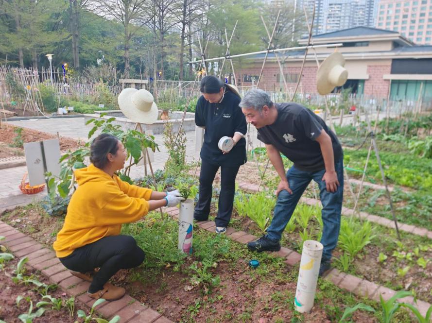 美丽中国，我是行动者丨“00后”携手爸妈解锁家庭环保公益“新玩法”