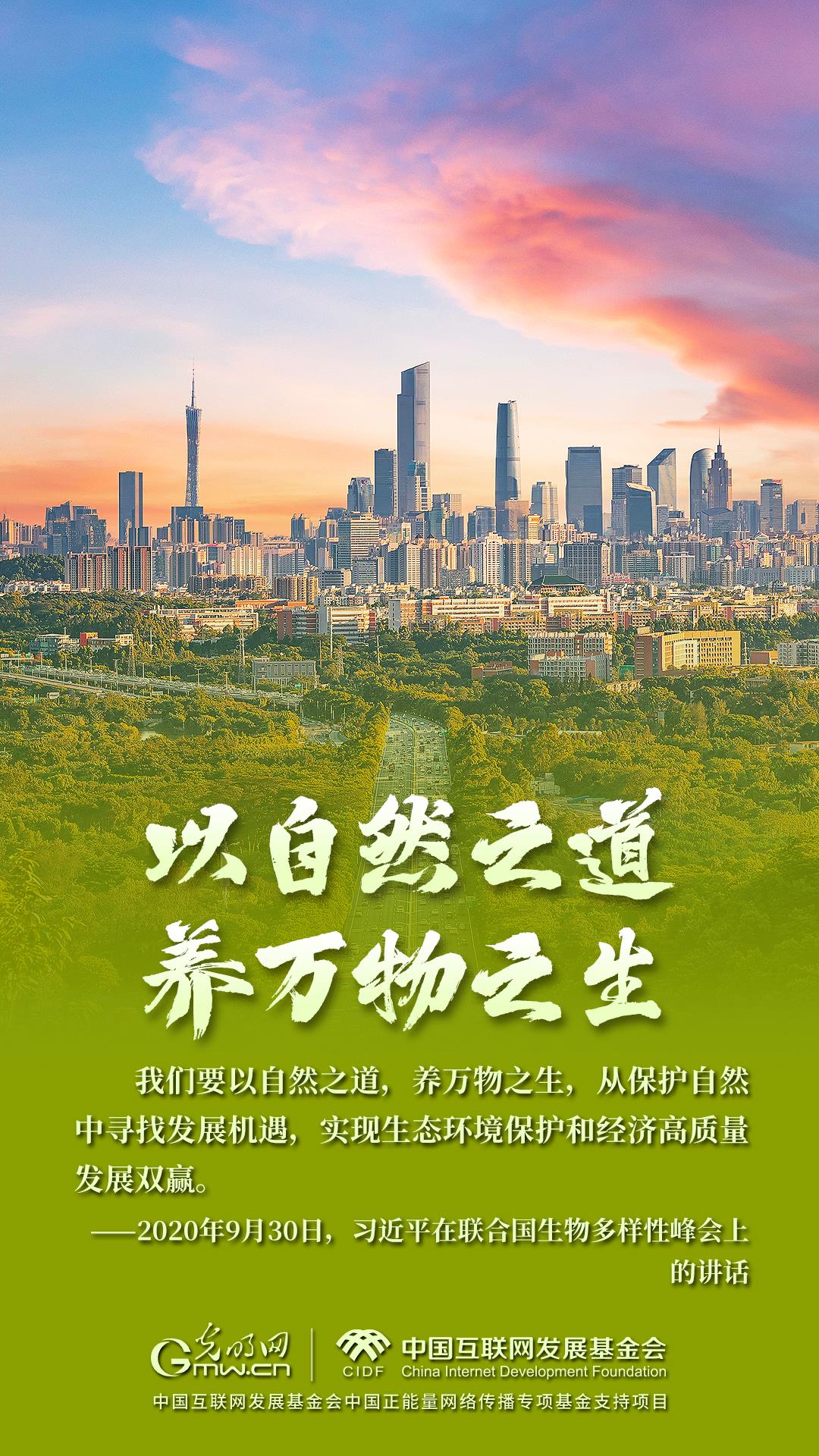 “两山”理念与美丽中国丨“退养还湿”再造候鸟生态家园