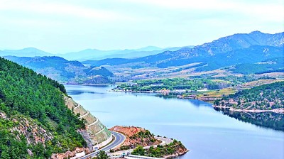 “林下生金”,看生态与产业如何共振