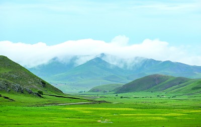 “林下生金”,看生态与产业如何共振