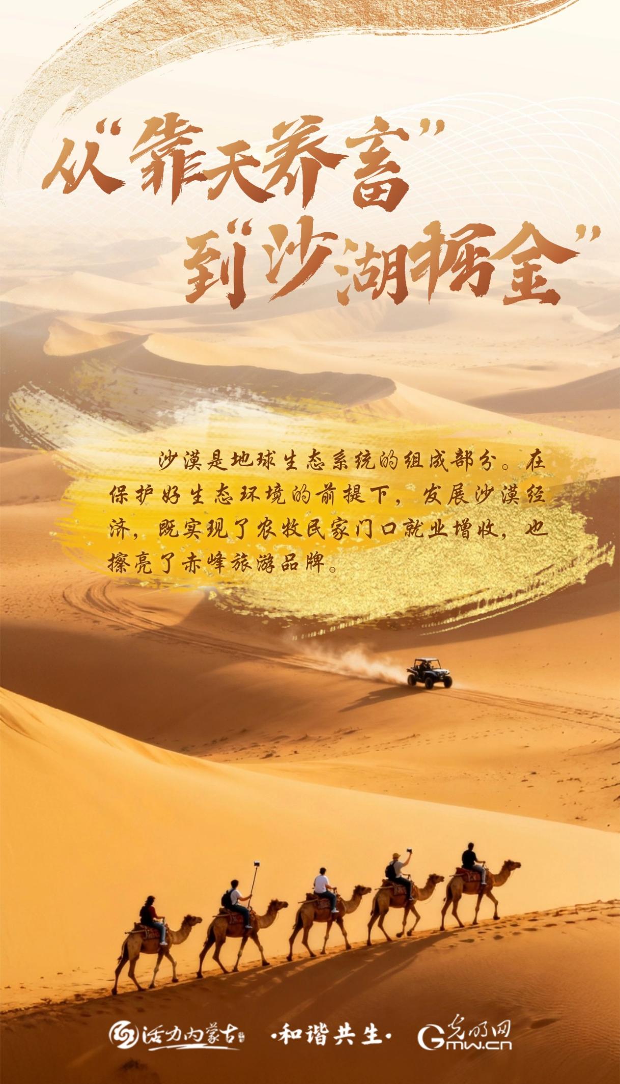 和谐共生｜从 “靠天养畜” 到 “沙湖掘金”