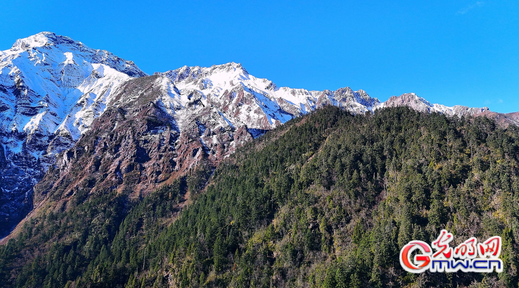 美丽中国|秋染王朗:雪山与彩林同框 美丽中国|秋染王朗:雪山与彩林同框