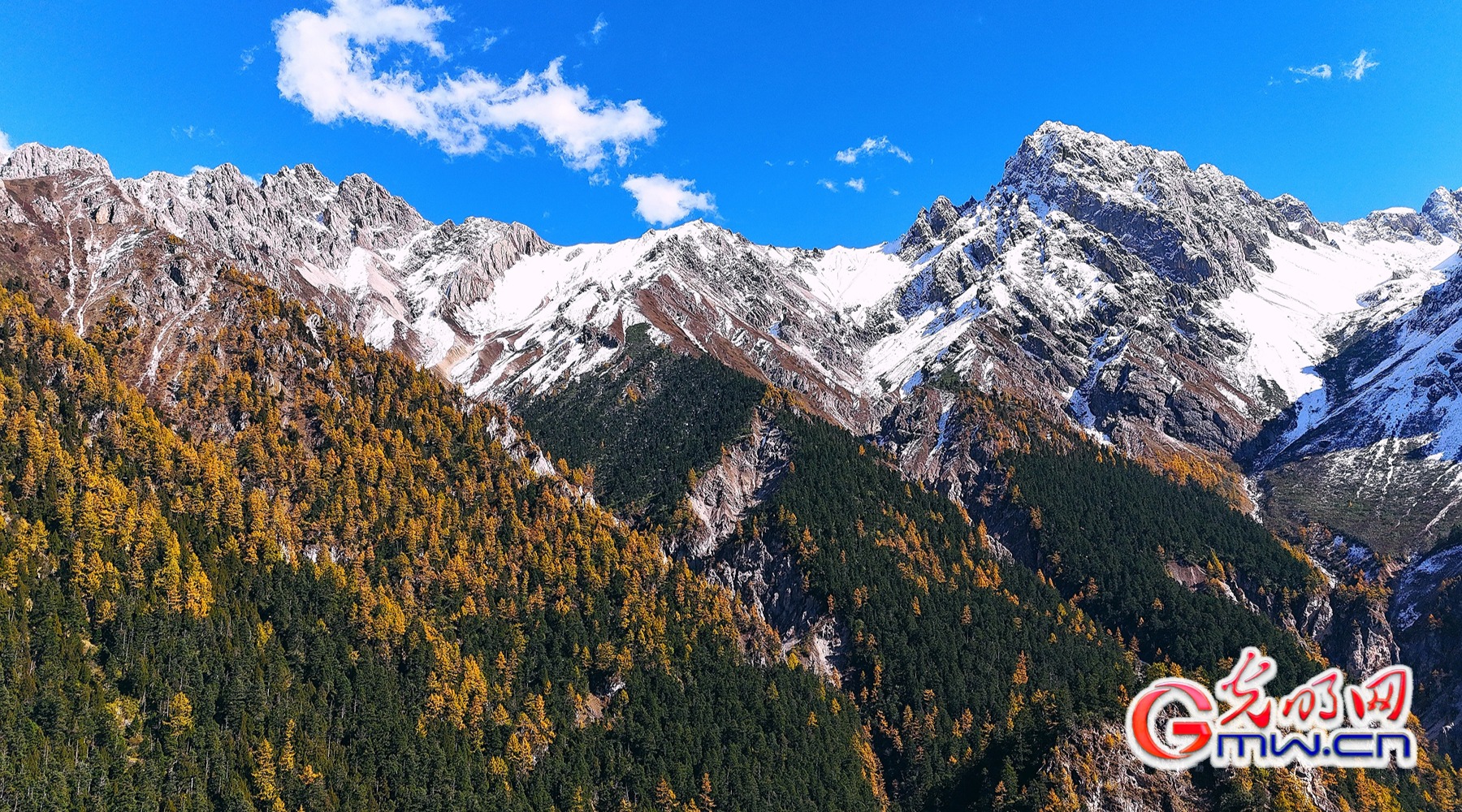 美丽中国|秋染王朗:雪山与彩林同框 美丽中国|秋染王朗:雪山与彩林同框