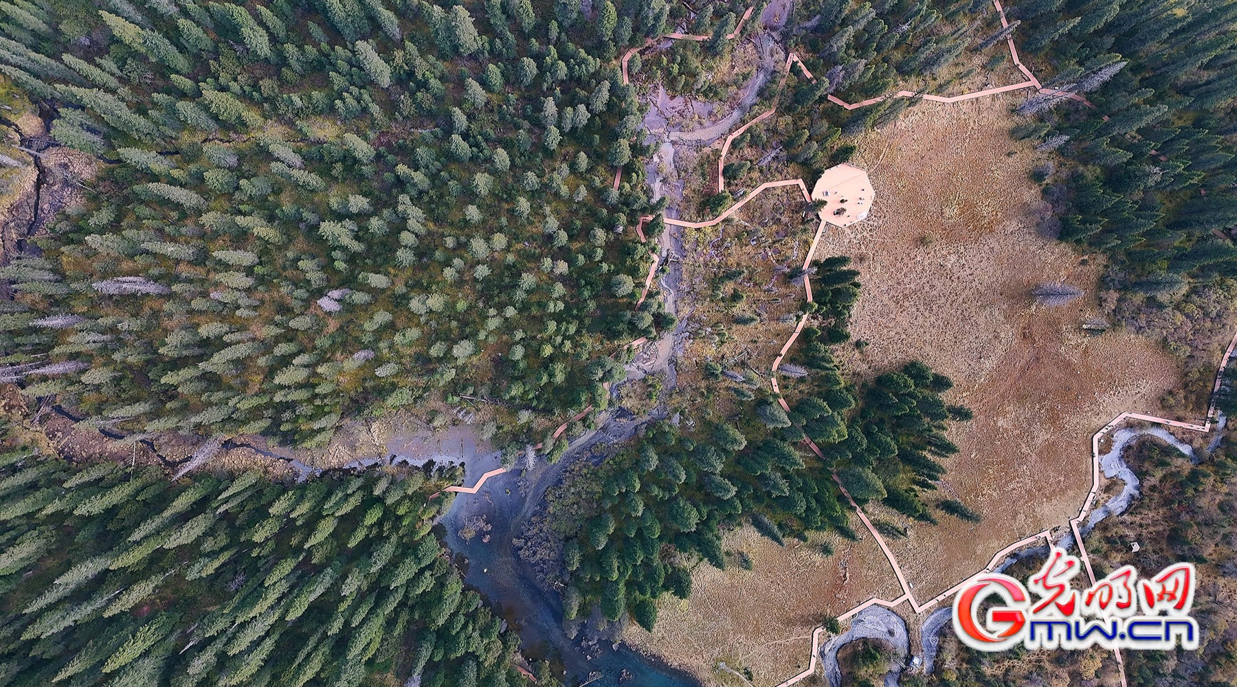 美丽中国|秋染王朗:雪山与彩林同框 美丽中国|秋染王朗:雪山与彩林同框