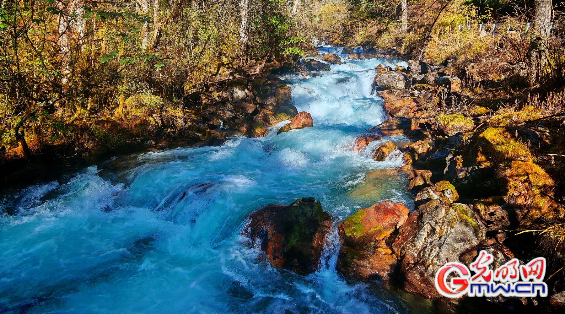 美丽中国|秋染王朗:雪山与彩林同框 美丽中国|秋染王朗:雪山与彩林同框
