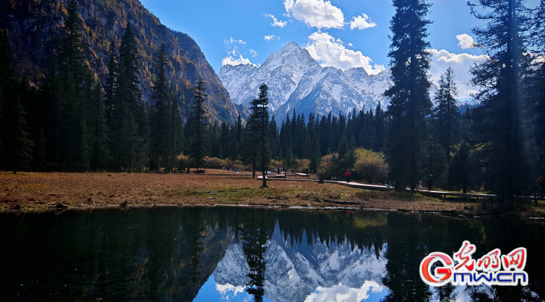 美丽中国|秋染王朗:雪山与彩林同框 美丽中国|秋染王朗:雪山与彩林同框