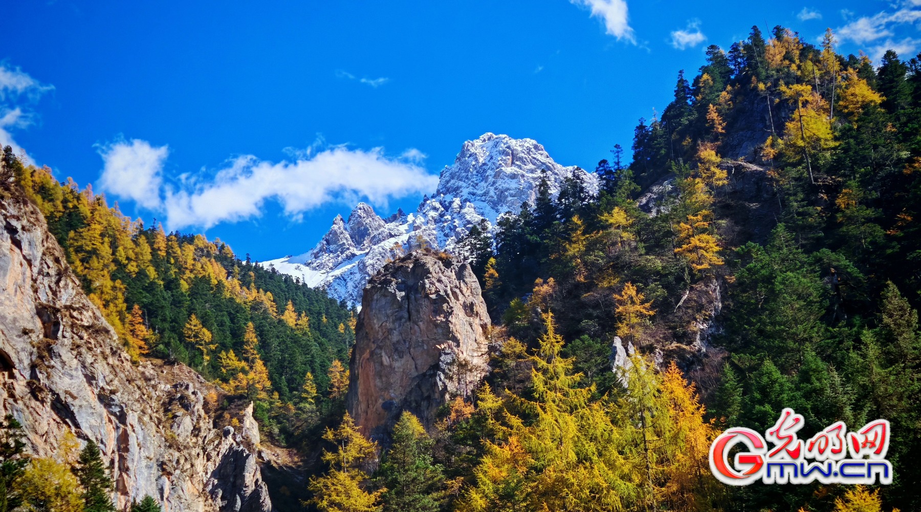 美丽中国|秋染王朗:雪山与彩林同框 美丽中国|秋染王朗:雪山与彩林同框