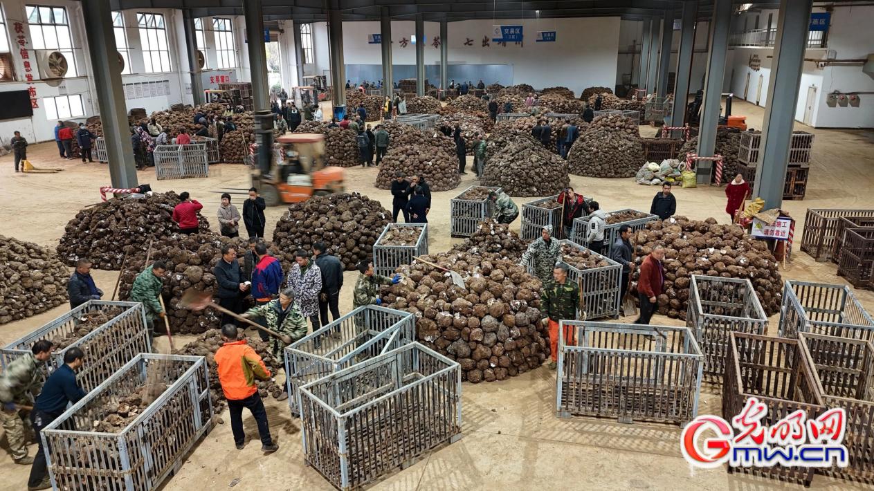 怀化的山是“藏金的筐”！山林草木间也有“金山银山”