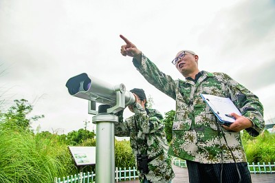 候鸟迁徙，让我们一路守护