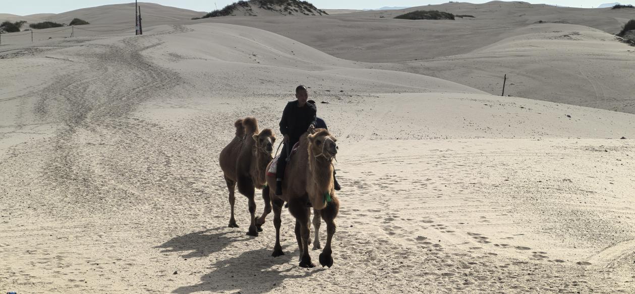 北疆大地书写“两山”答卷 北疆大地书写“两山”答卷
