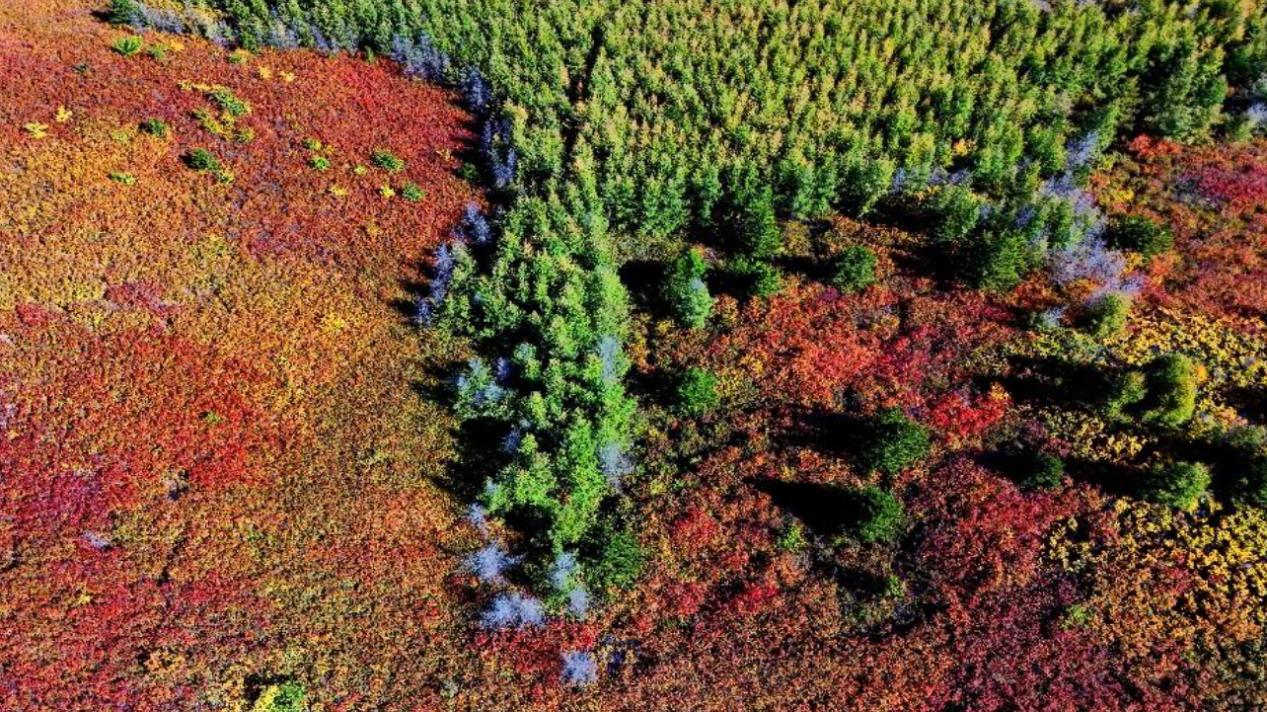 北疆大地书写“两山”答卷 北疆大地书写“两山”答卷