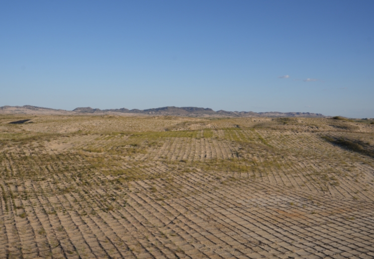 和谐共生｜防沙治沙 绿富同兴