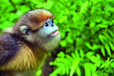 生物圈保护区——打造人与自然和谐共生样板 生物圈保护区——打造人与自然和谐共生样板