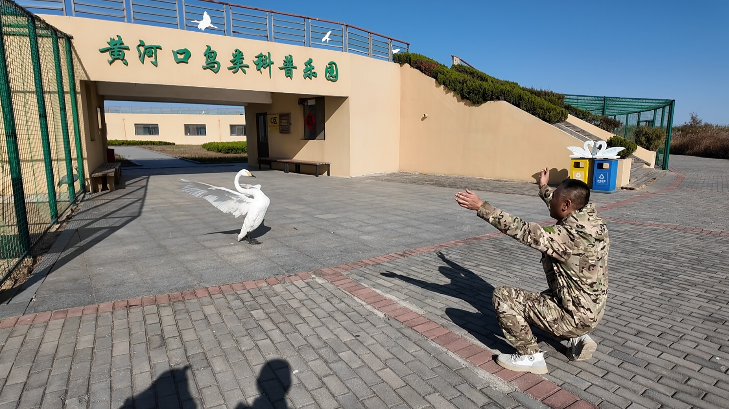 在这里，“国宝级”候鸟抬头可见！