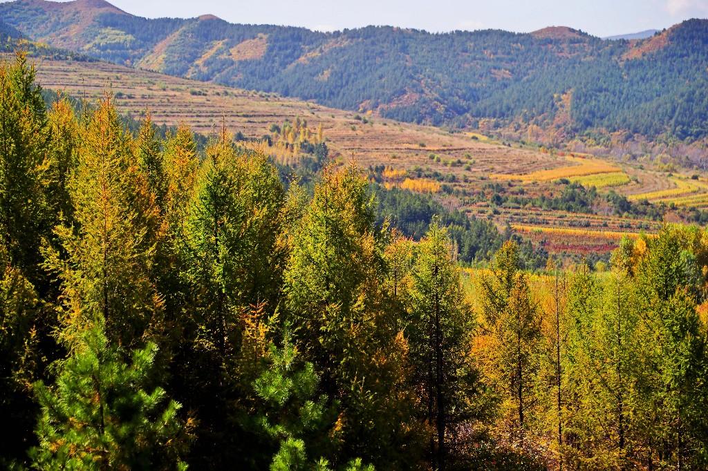 赤峰绿色转型三重奏——“两山”理念指引下的和谐共生之路