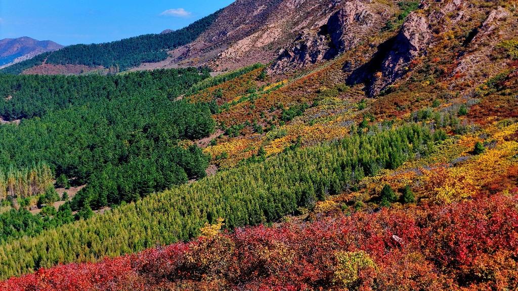 赤峰绿色转型三重奏——“两山”理念指引下的和谐共生之路
