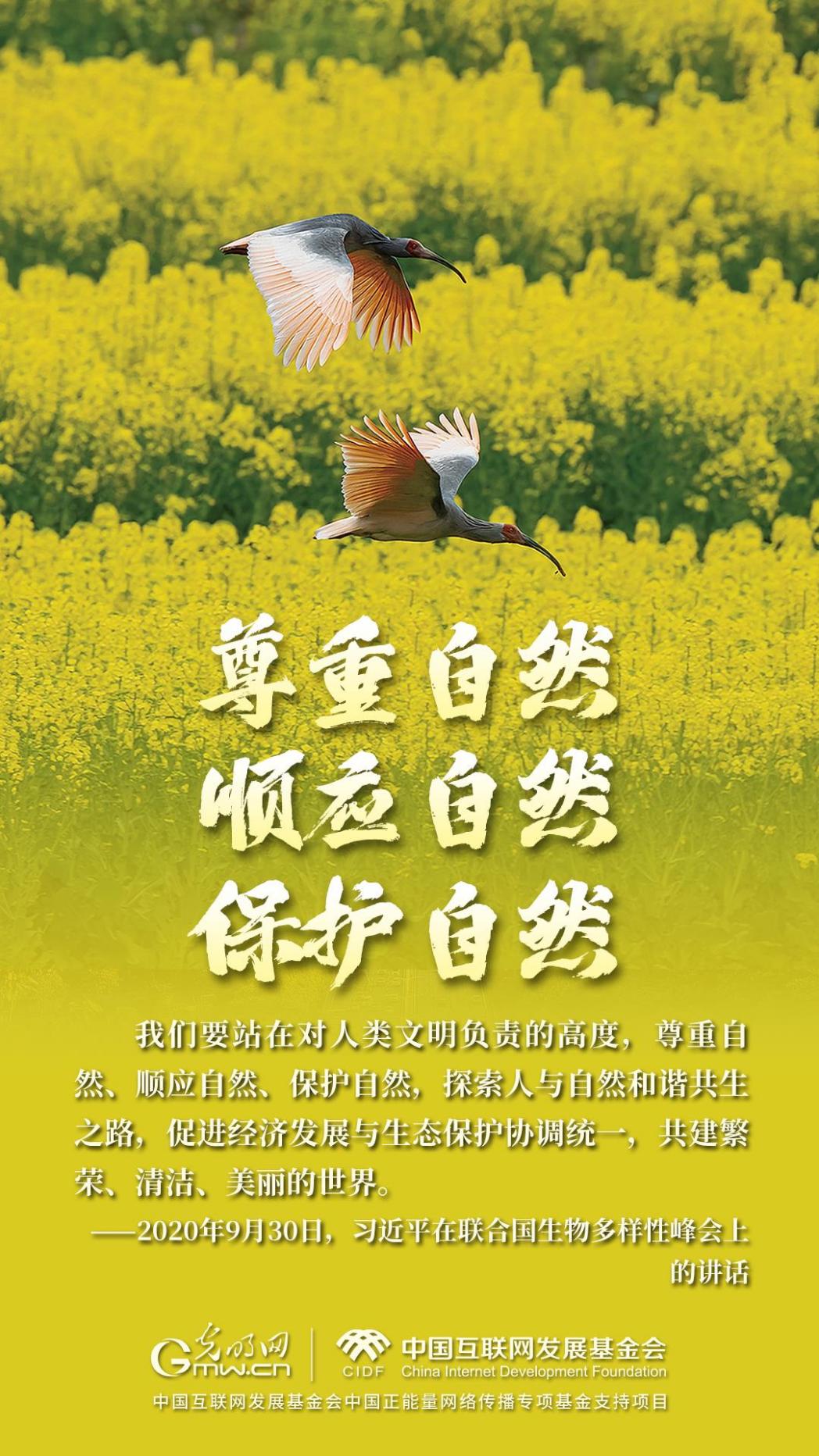 “两山”理念与美丽中国丨炊烟袅袅处,朱鹮翩翩飞 “两山”理念与美丽中国丨炊烟袅袅处,朱鹮翩翩飞