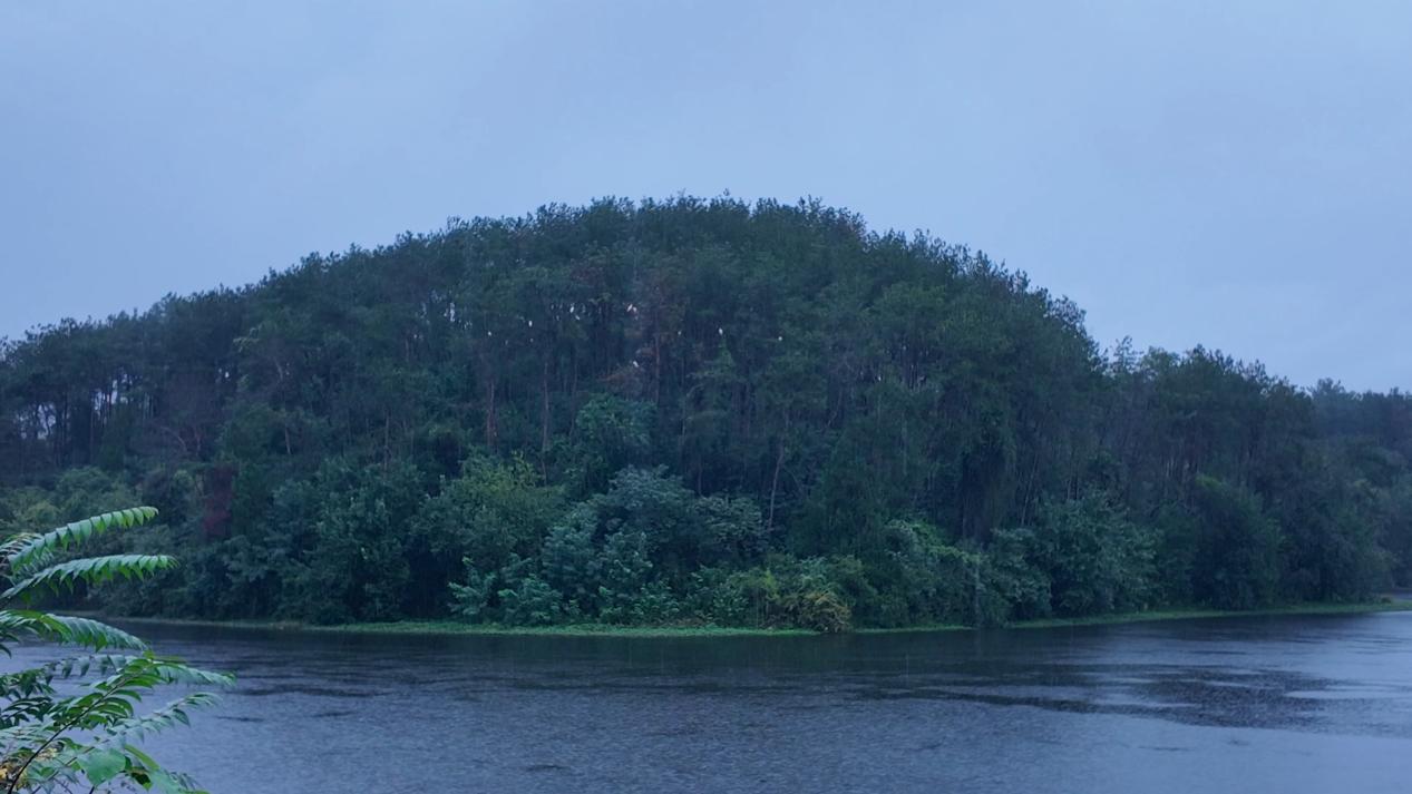 “两山”理念与美丽中国丨炊烟袅袅处,朱鹮翩翩飞 “两山”理念与美丽中国丨炊烟袅袅处,朱鹮翩翩飞