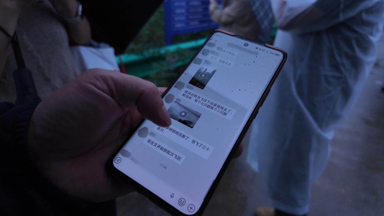 “两山”理念与美丽中国丨炊烟袅袅处,朱鹮翩翩飞 “两山”理念与美丽中国丨炊烟袅袅处,朱鹮翩翩飞