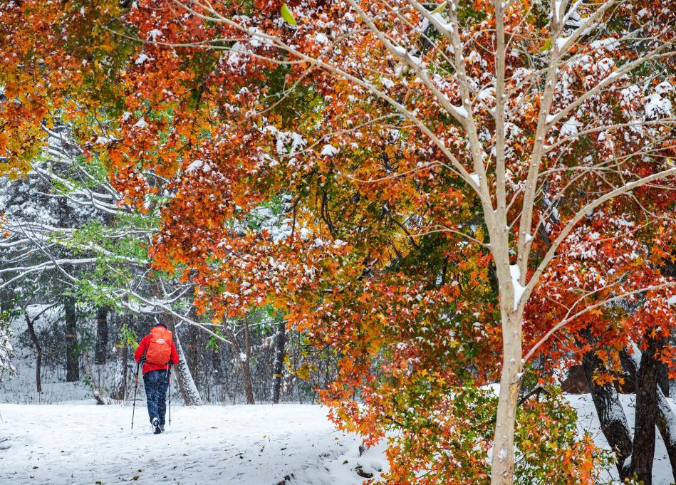北京市政协委员许槟：艺术赋能绿隔建设 既要生态底色也要人文温度