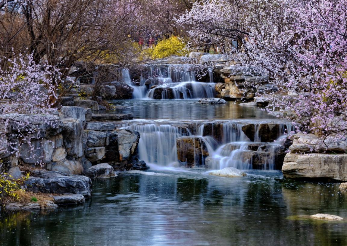 北京市政协委员张勇：以沉浸式体验激活城市公园文化生命力