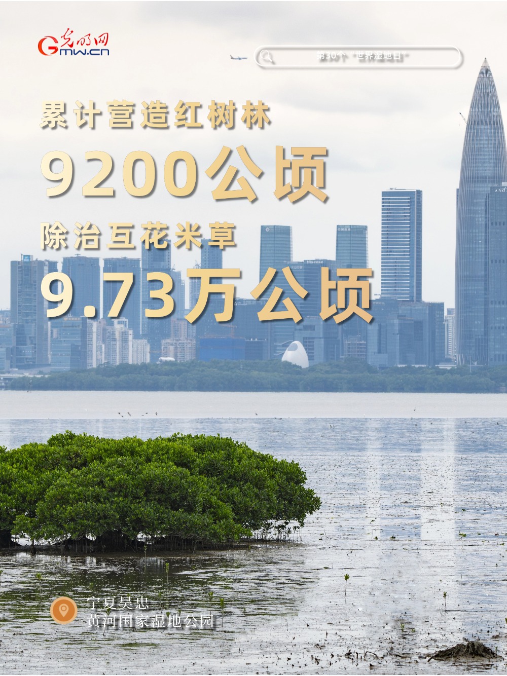 世界湿地日丨数说中国湿地保护“成绩单”