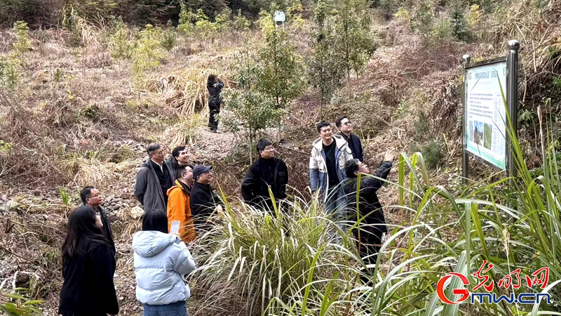 新春走基层｜三明有片“医疗碳汇林”