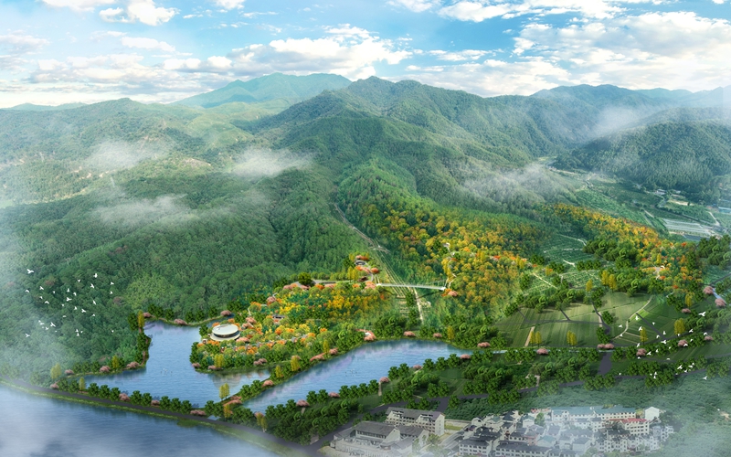 新春走基层｜三明有片“医疗碳汇林”