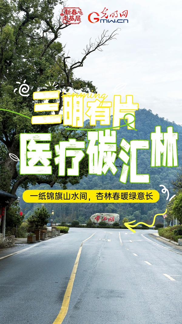 新春走基层|三明有片“医疗碳汇林” 新春走基层|三明有片“医疗碳汇林”