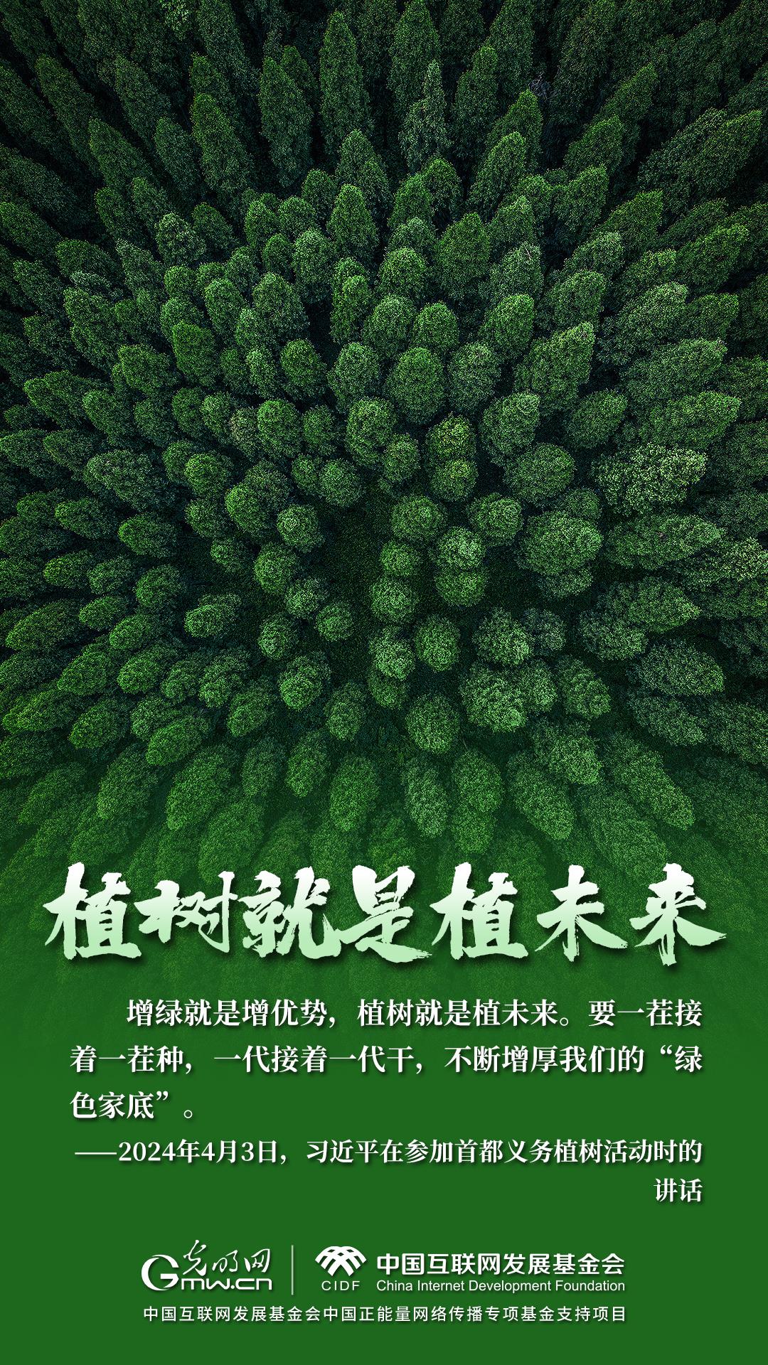 “两山”理念与美丽中国丨一株植物的“国家待遇”